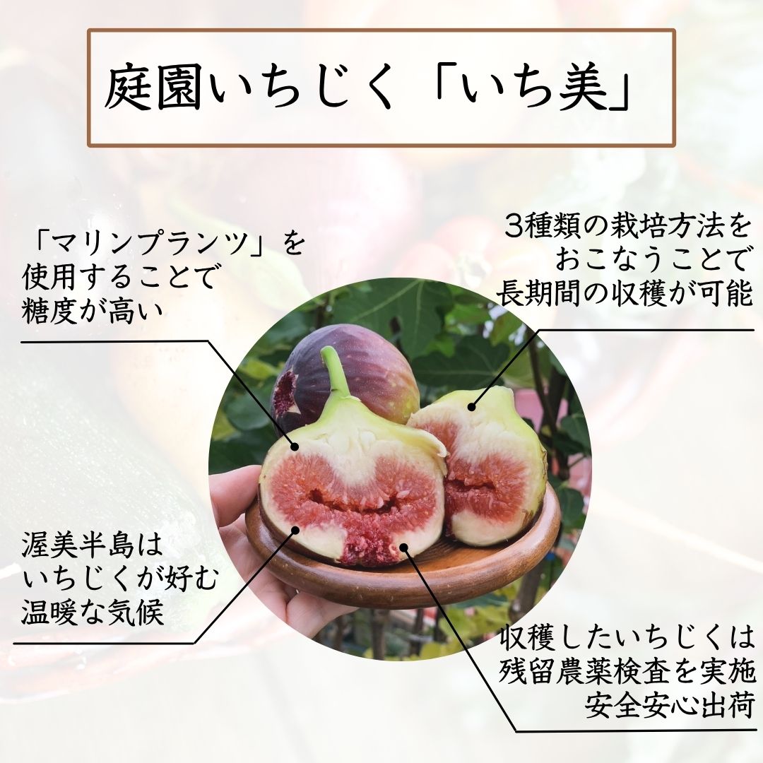 選ばれる理由