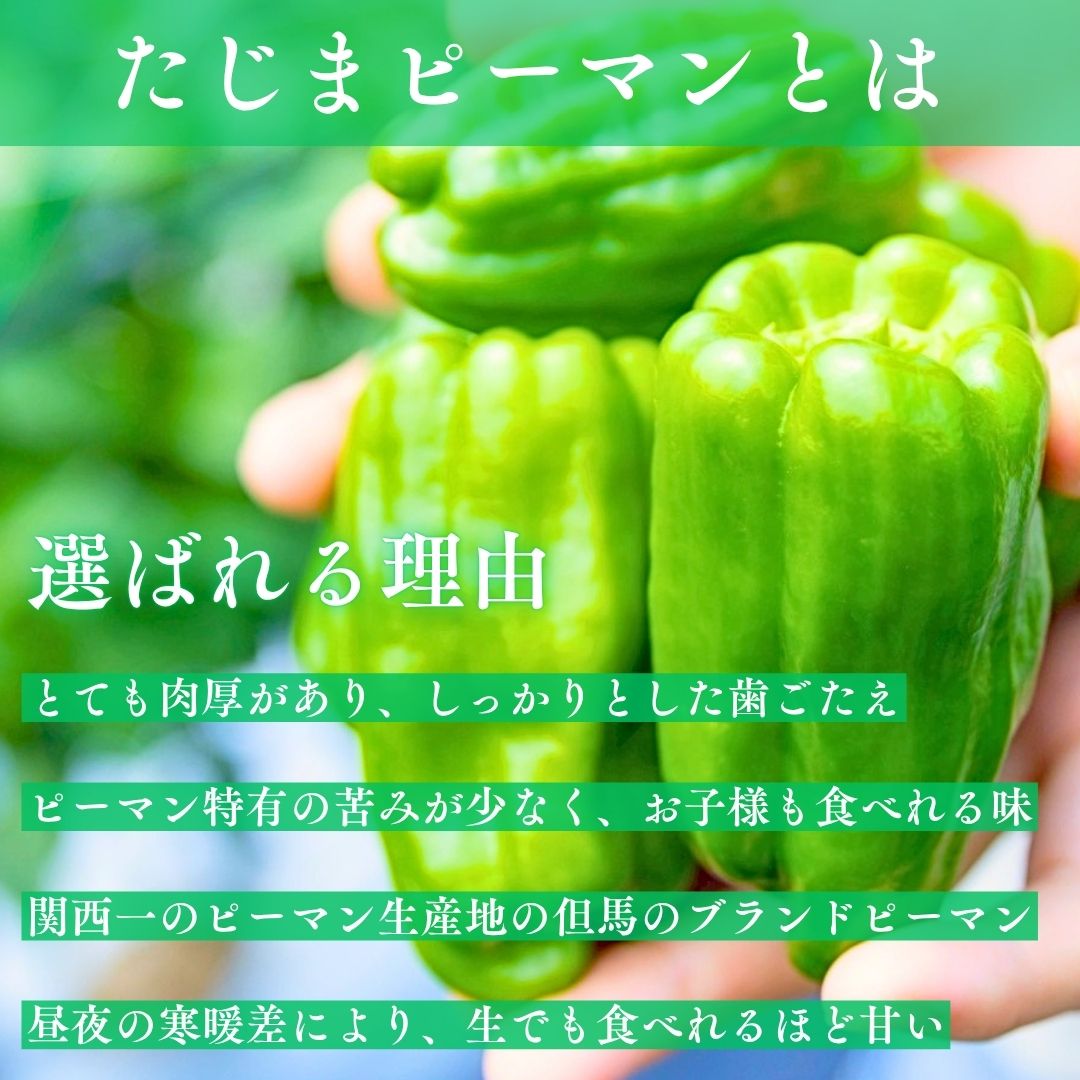 選ばれる理由