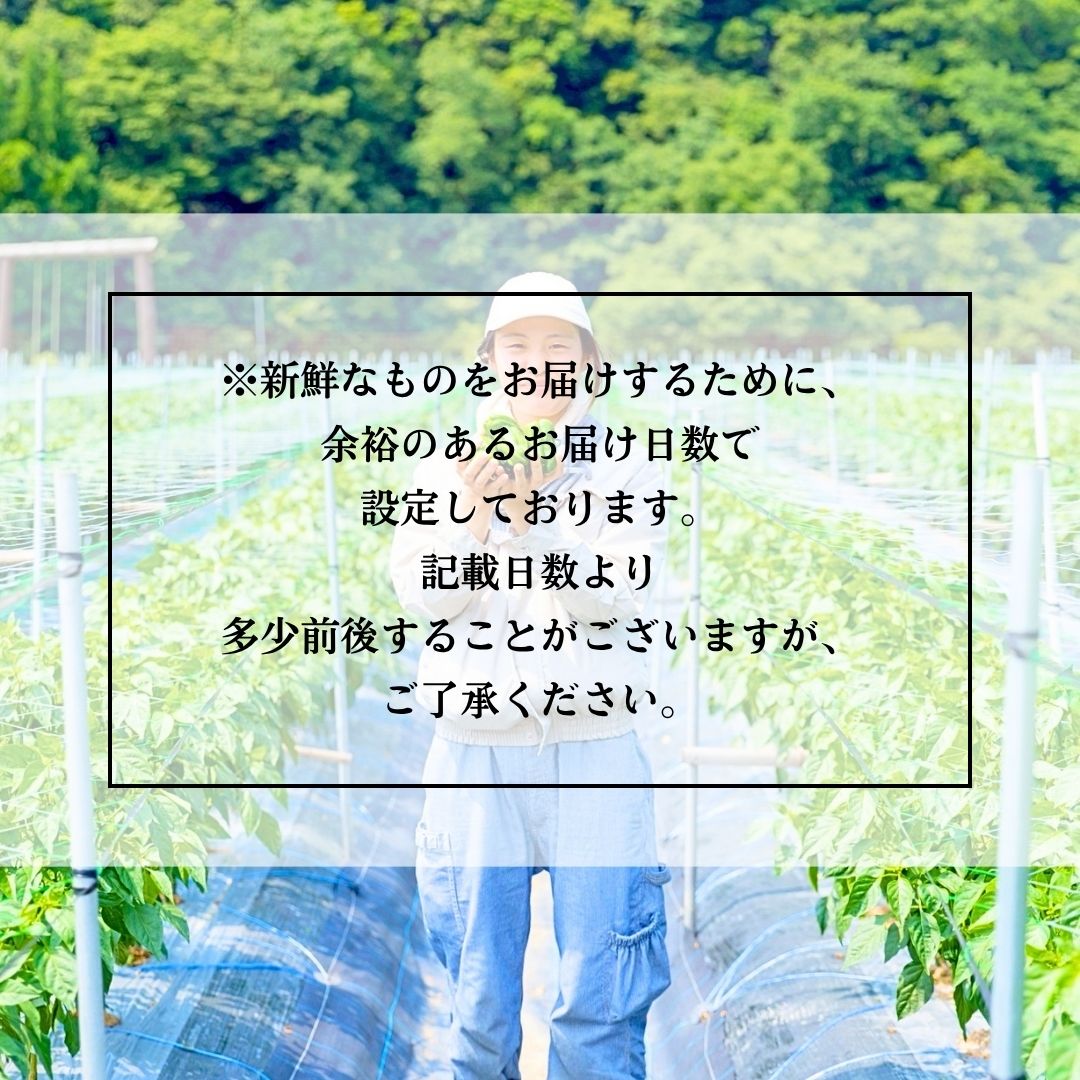 生産者の想い