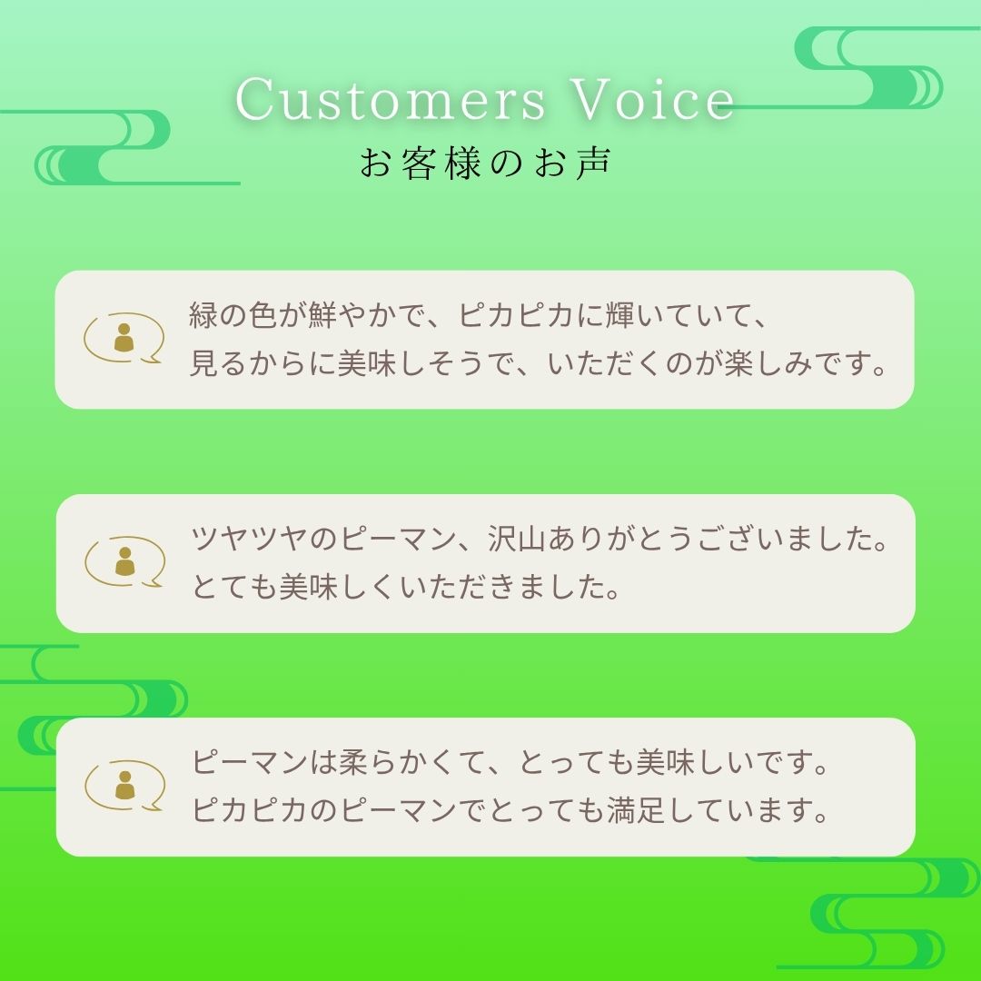 レビュー