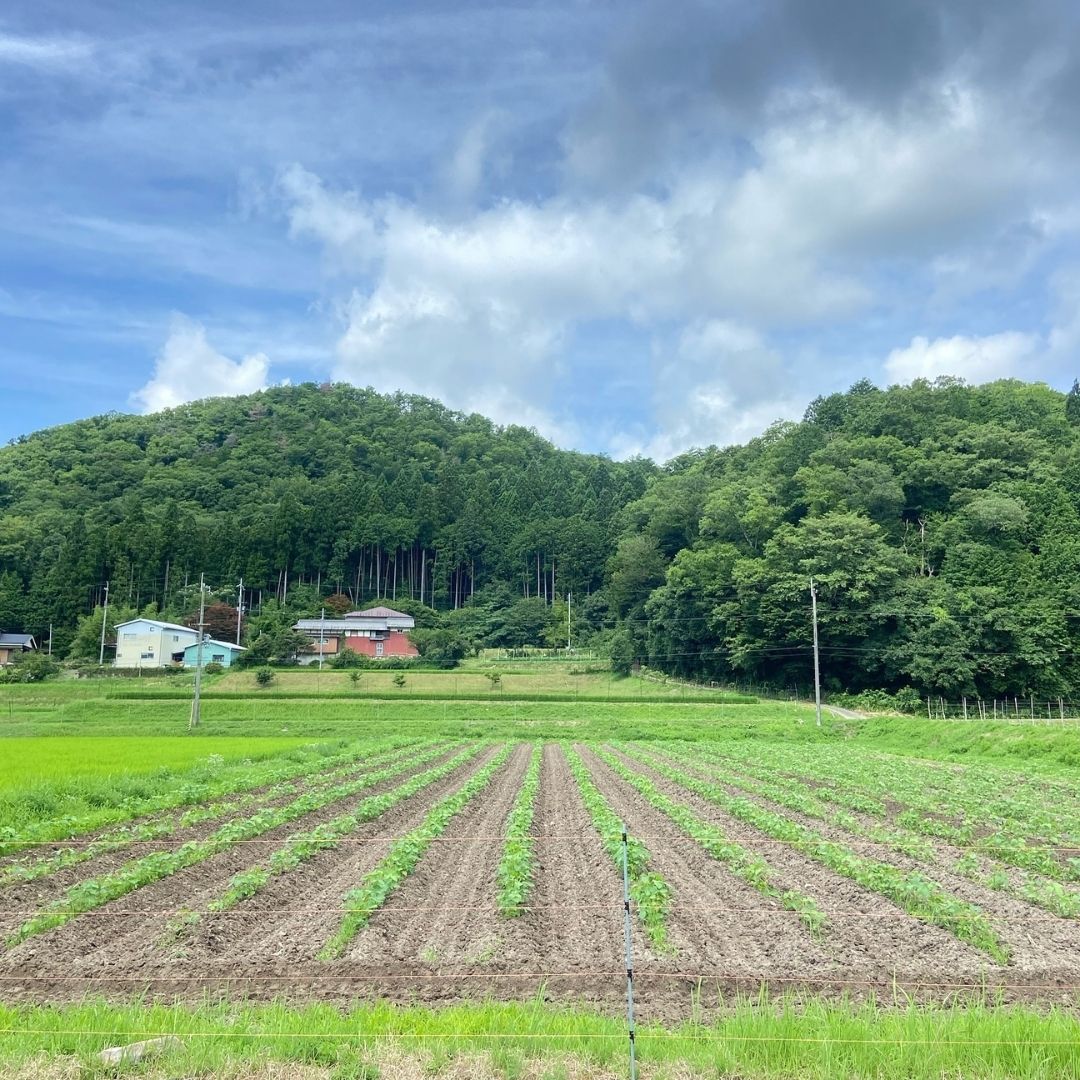 土地について