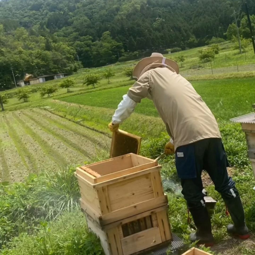 生産者の想い