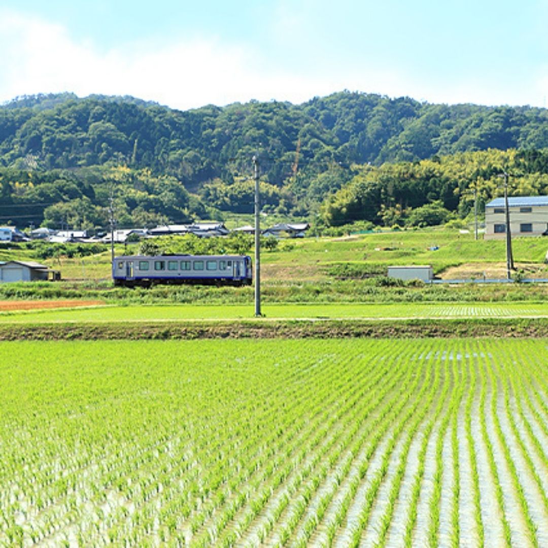 土地について