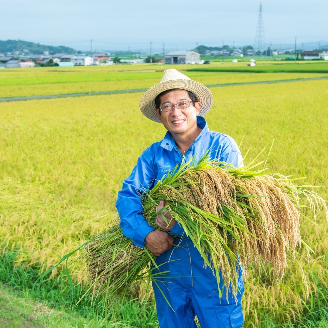 生産者の想い