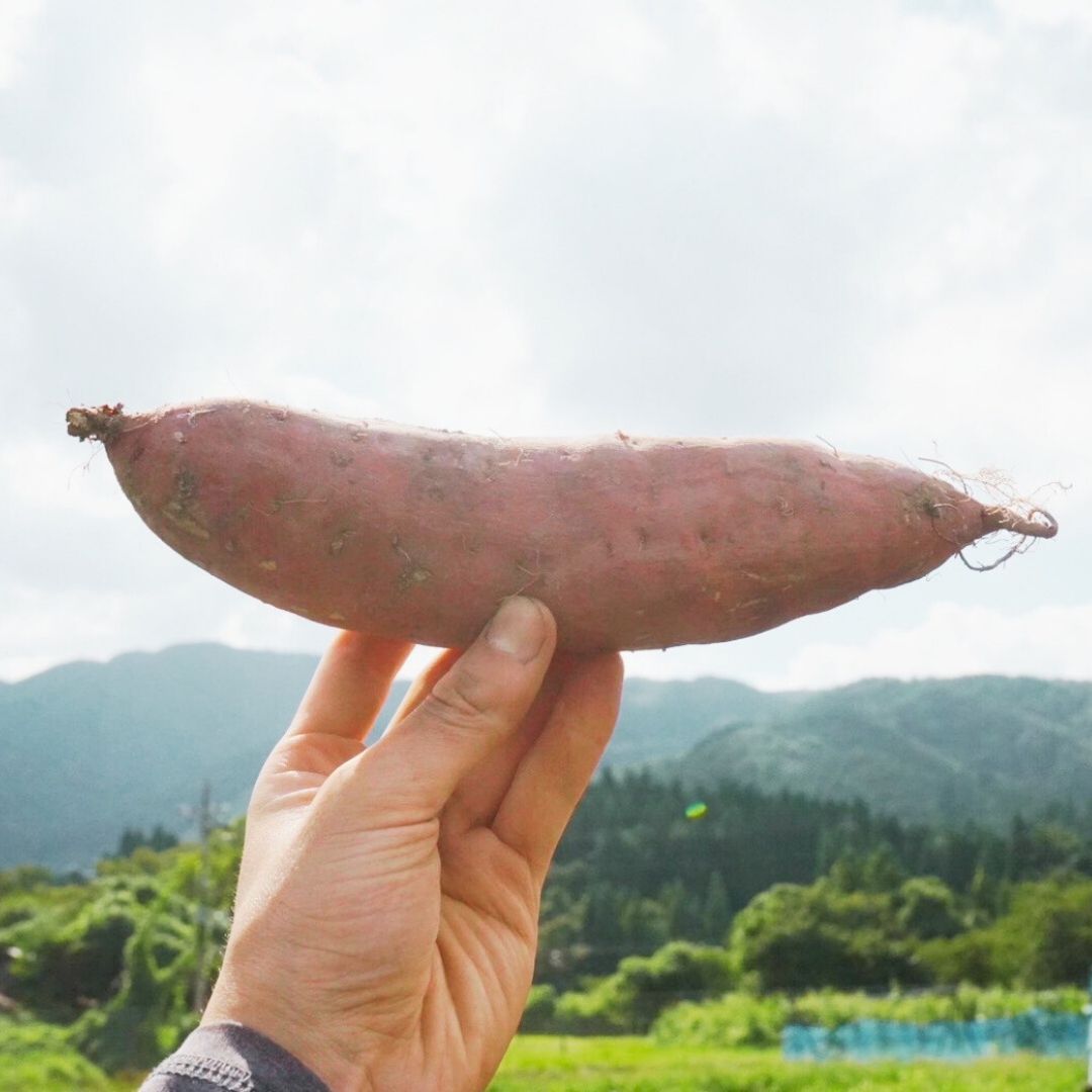 生産者の想い