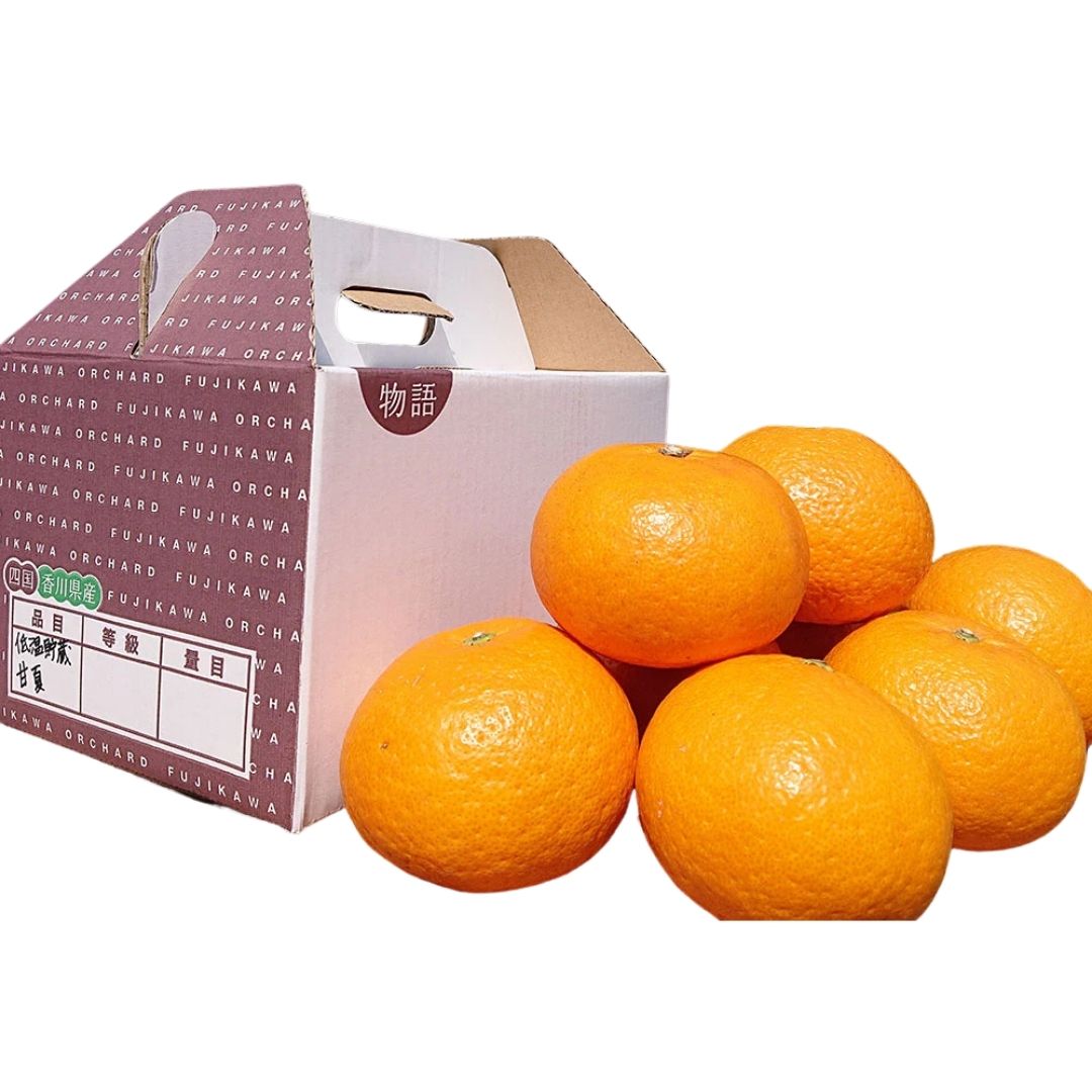 商品説明