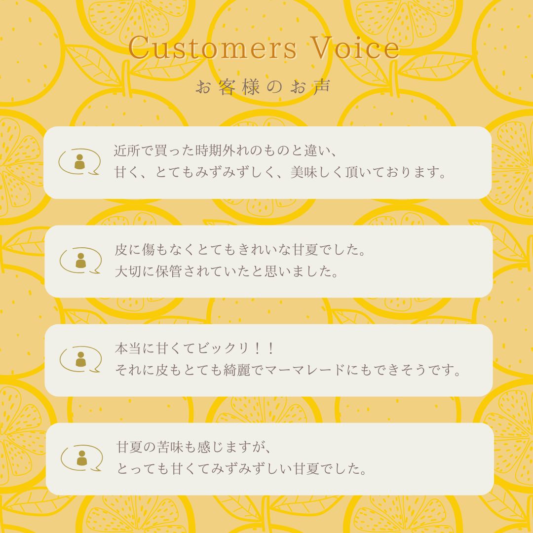 お客様レビュー