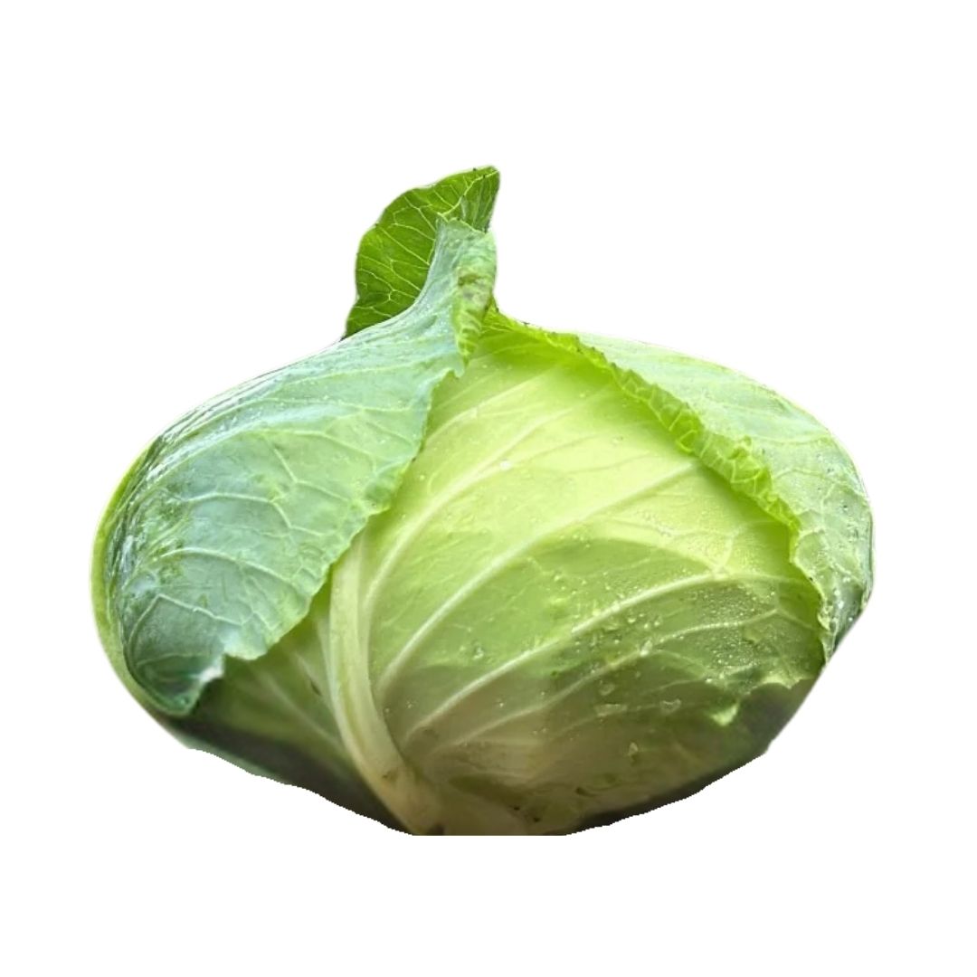 商品説明
