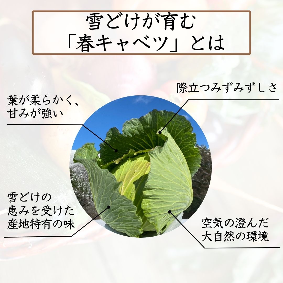 選ばれる理由