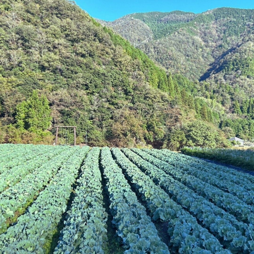 土地について