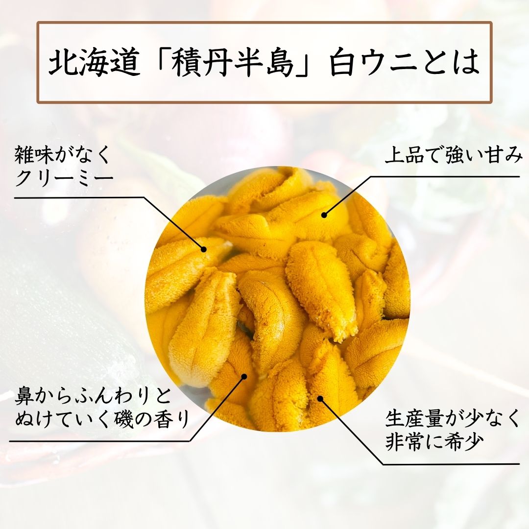 選ばれる理由