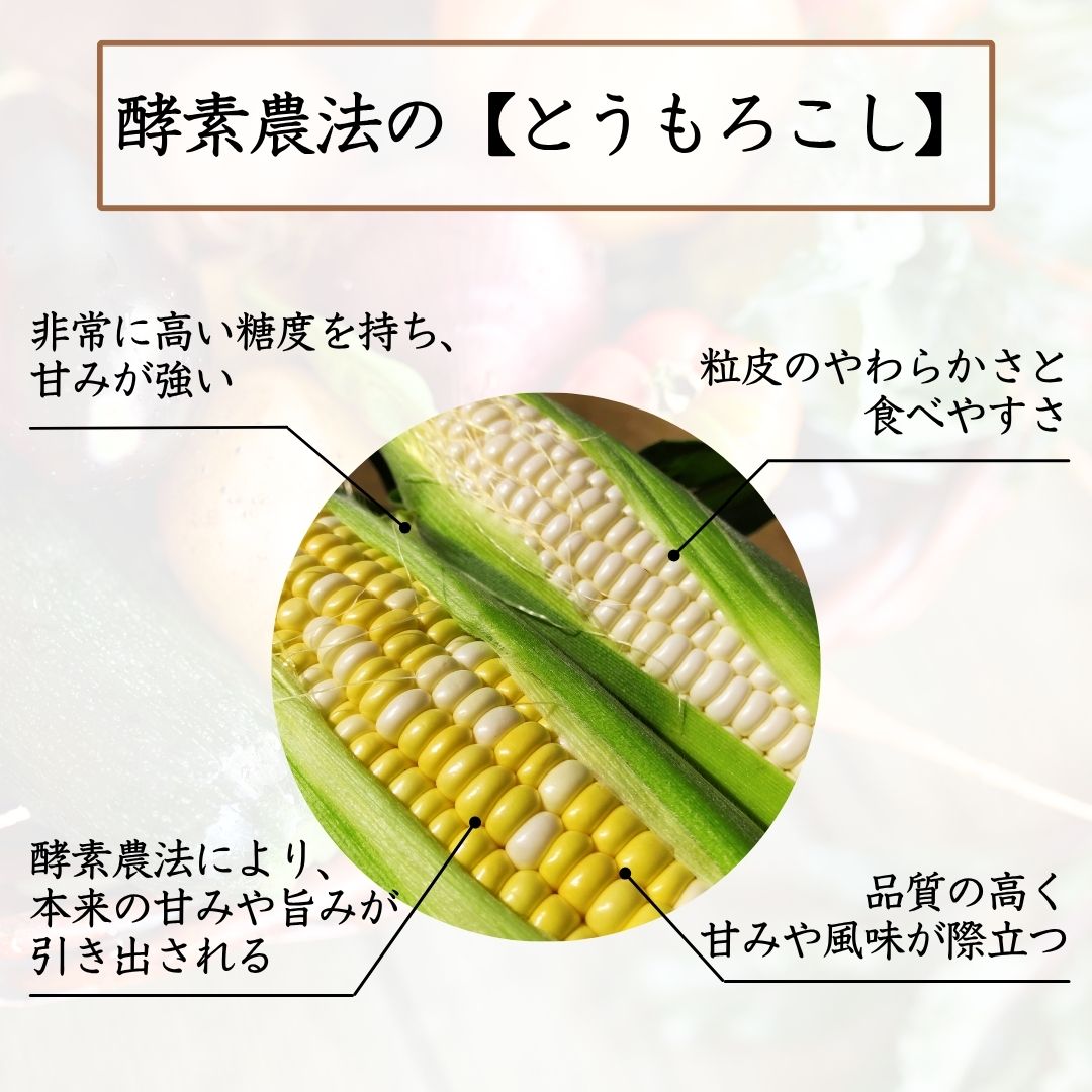 選ばれる理由