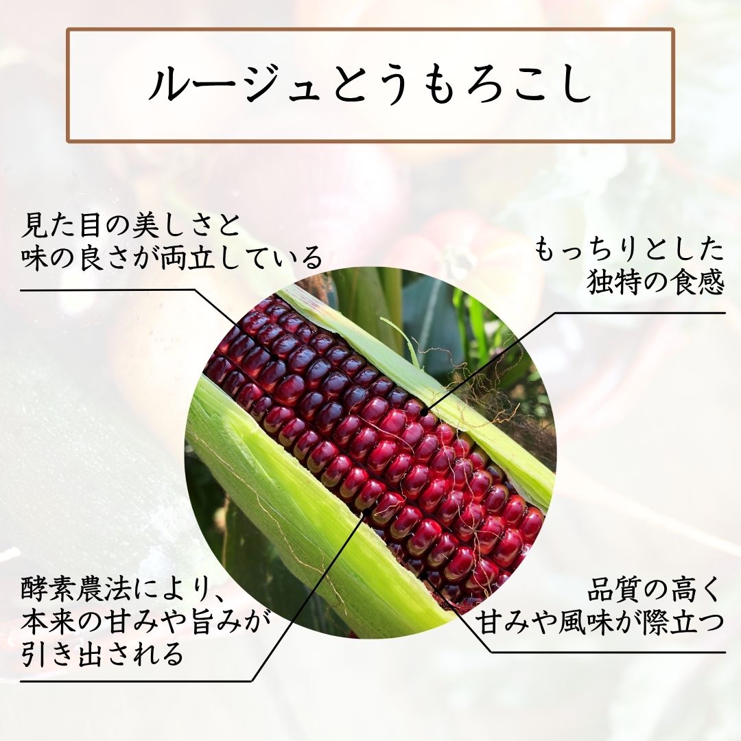選ばれる理由