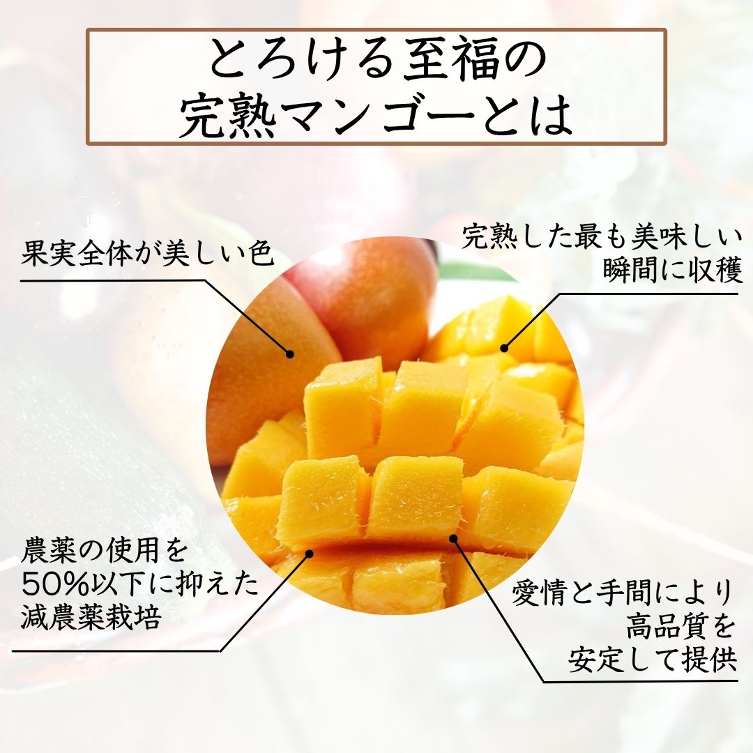 選ばれる理由