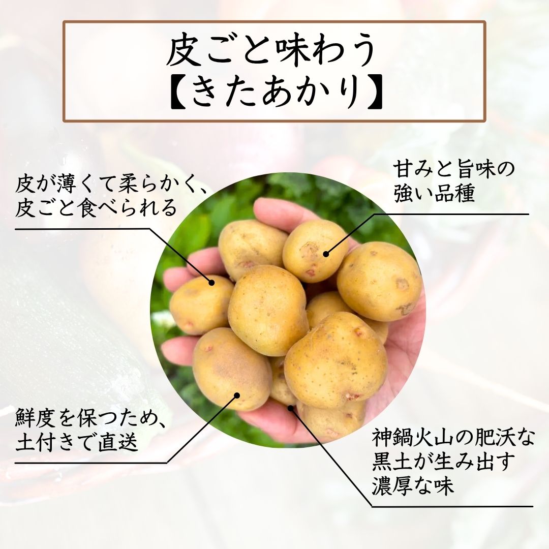 選ばれる理由