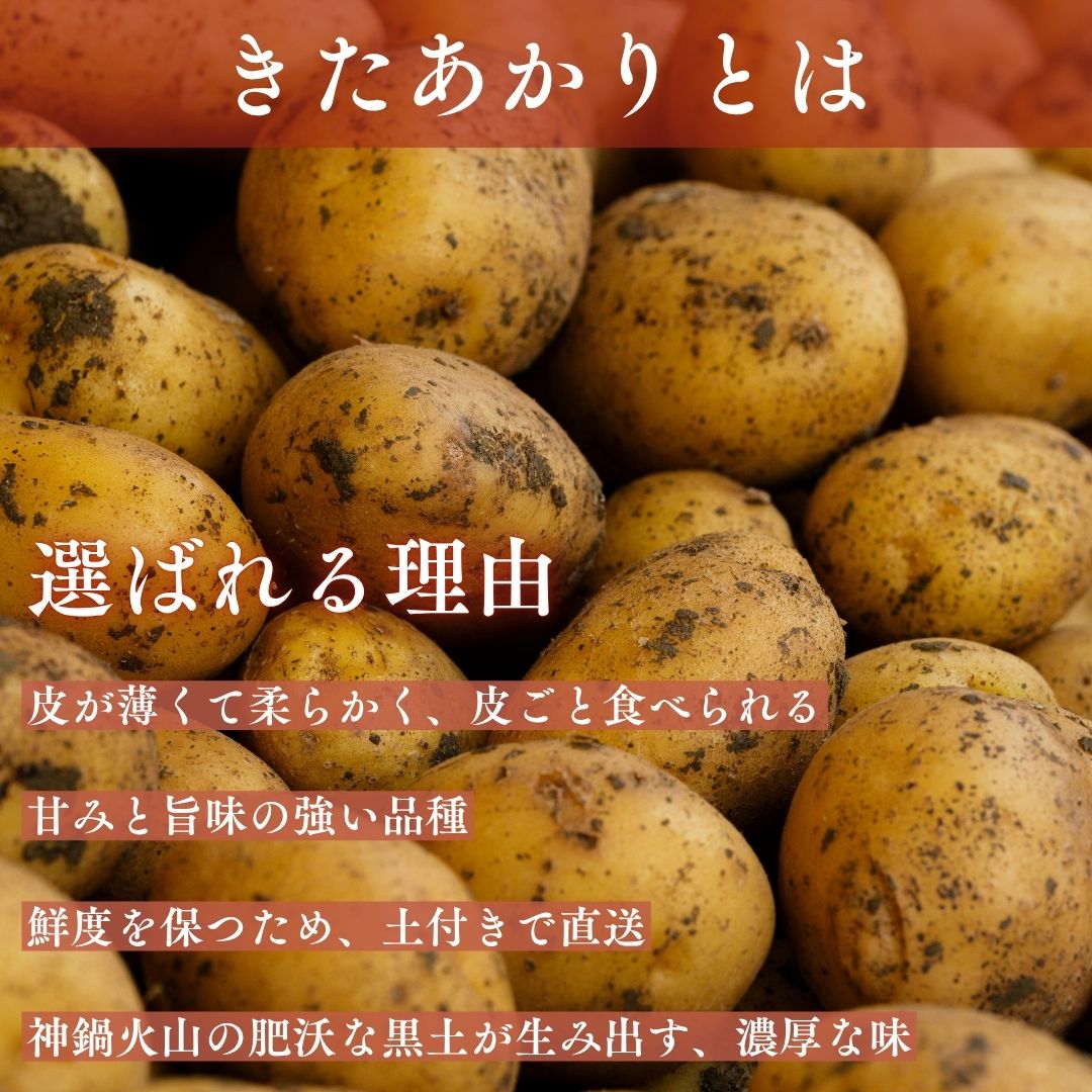 選ばれる理由