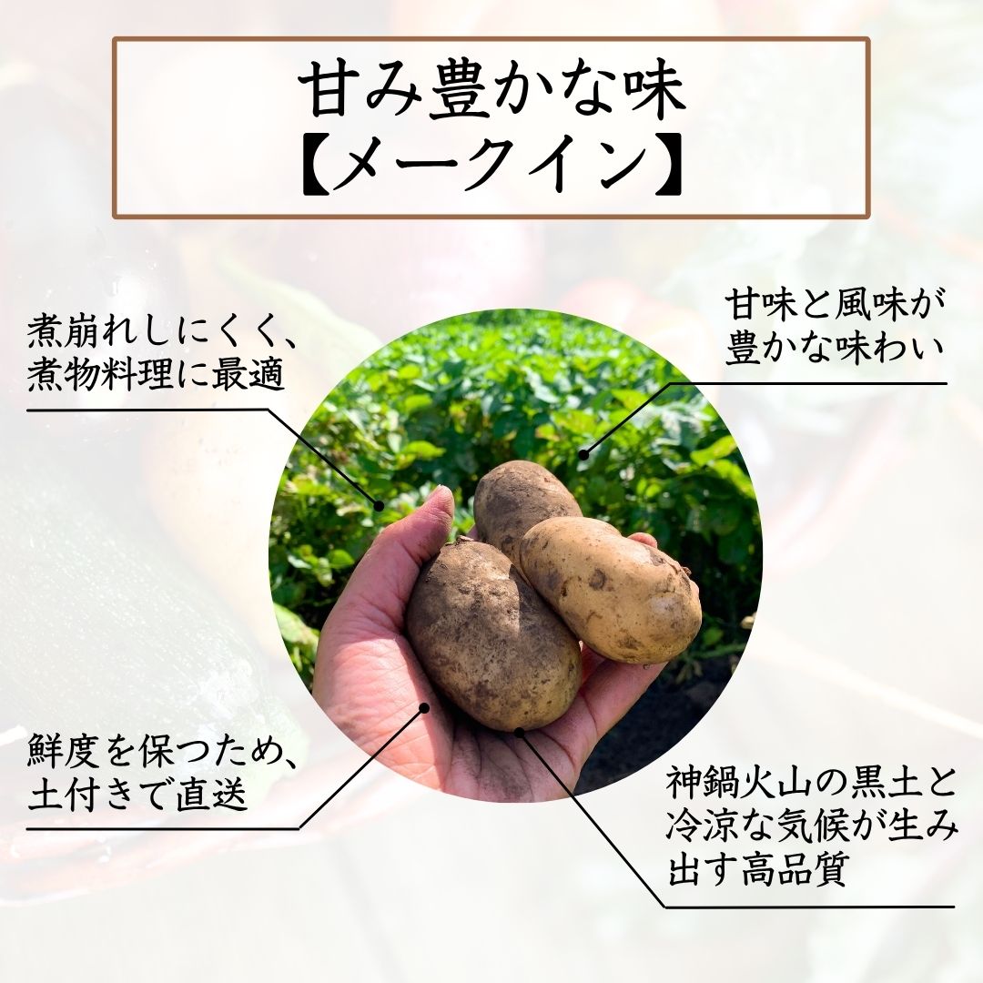 選ばれる理由