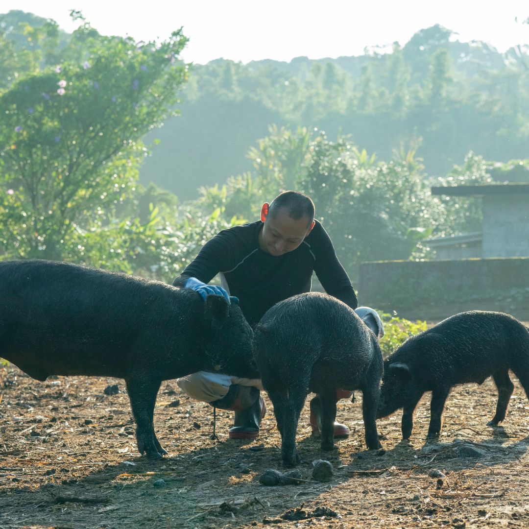 ④生産者の想い