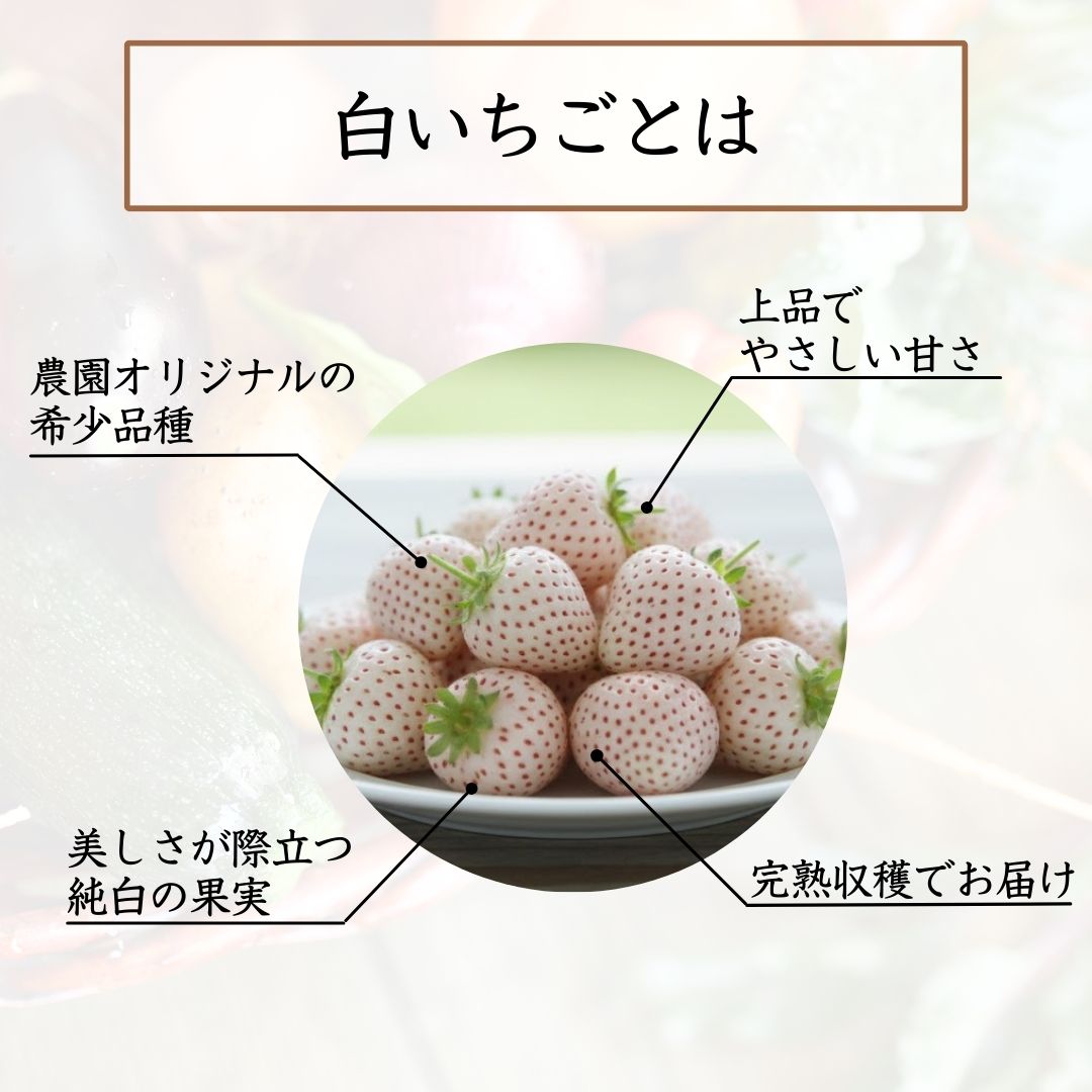 ②選ばれる理由