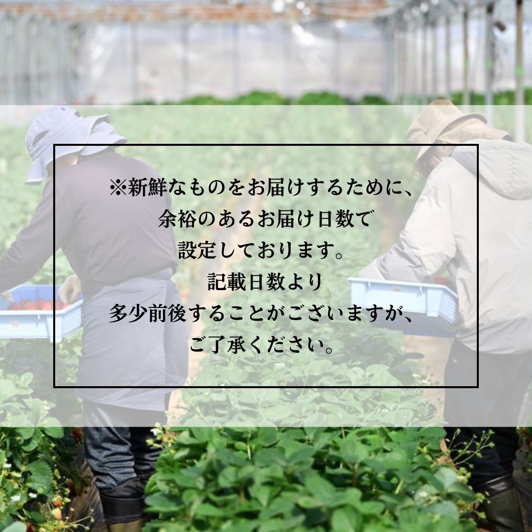 ④生産者の想い