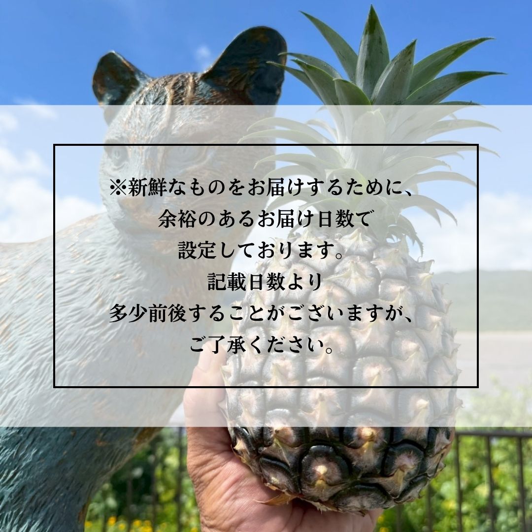 ④生産者の想い