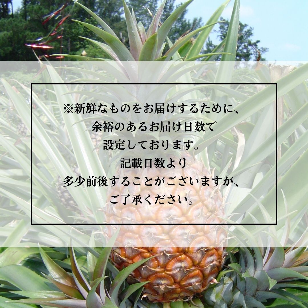 ④生産者の想い