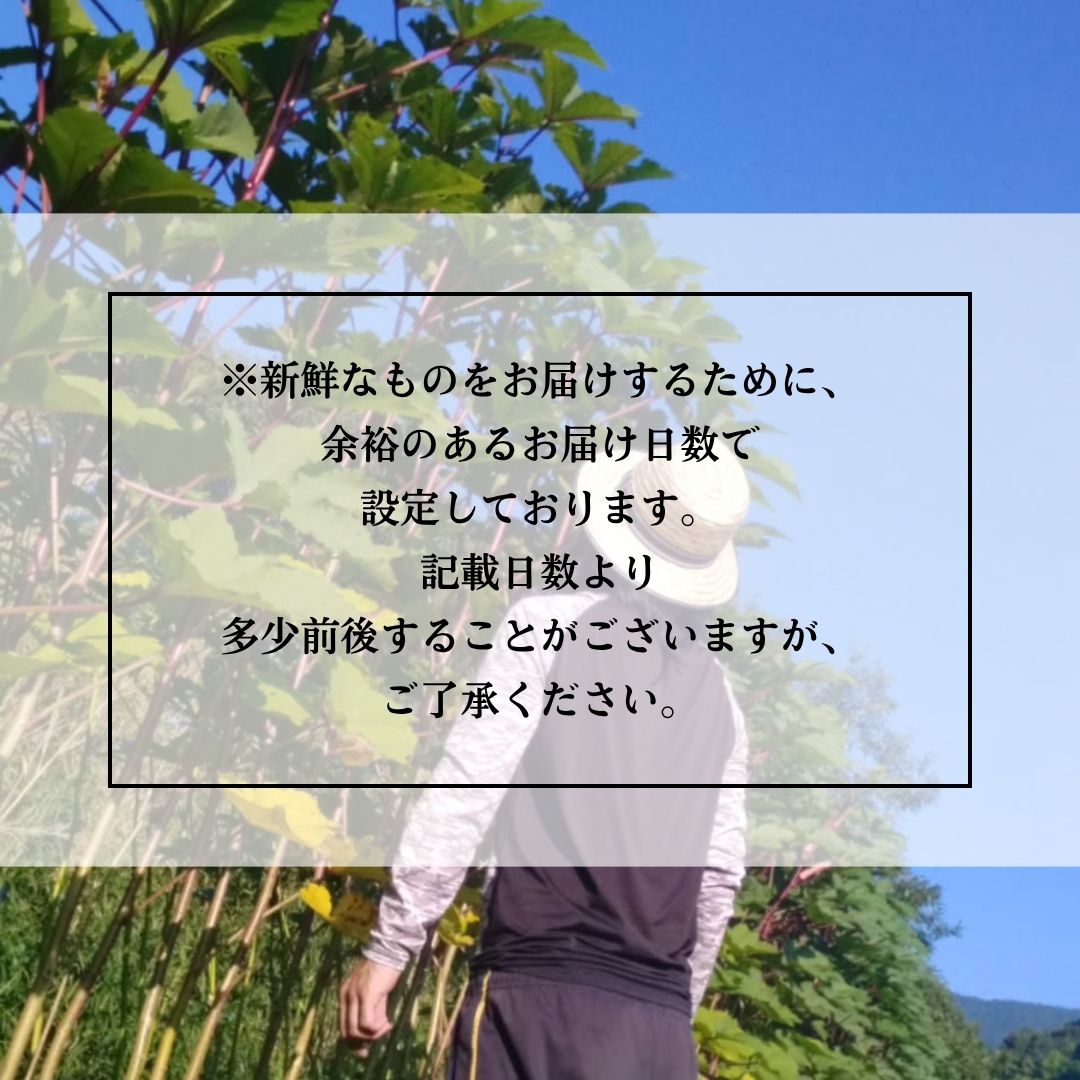 生産者の想い