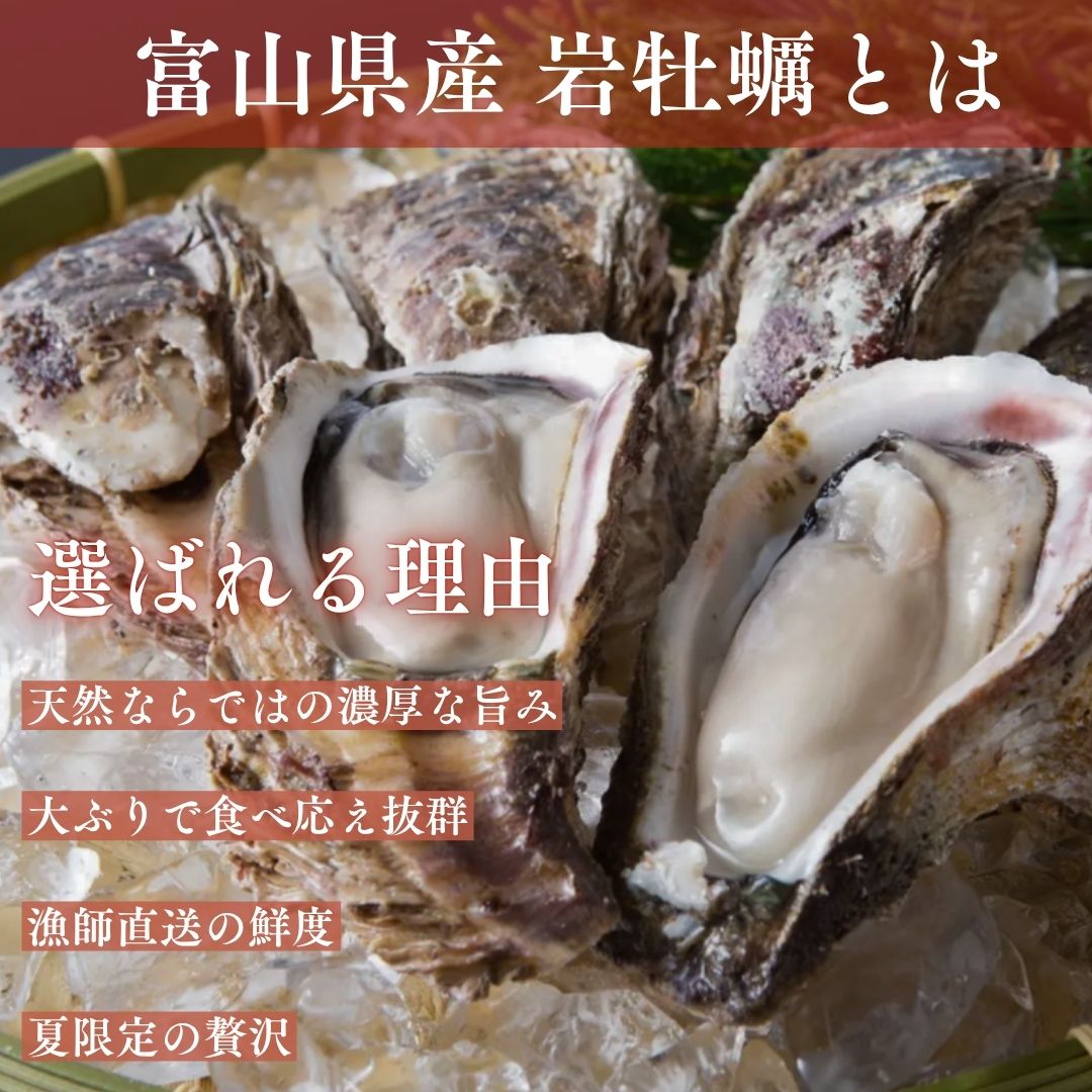 選ばれる理由