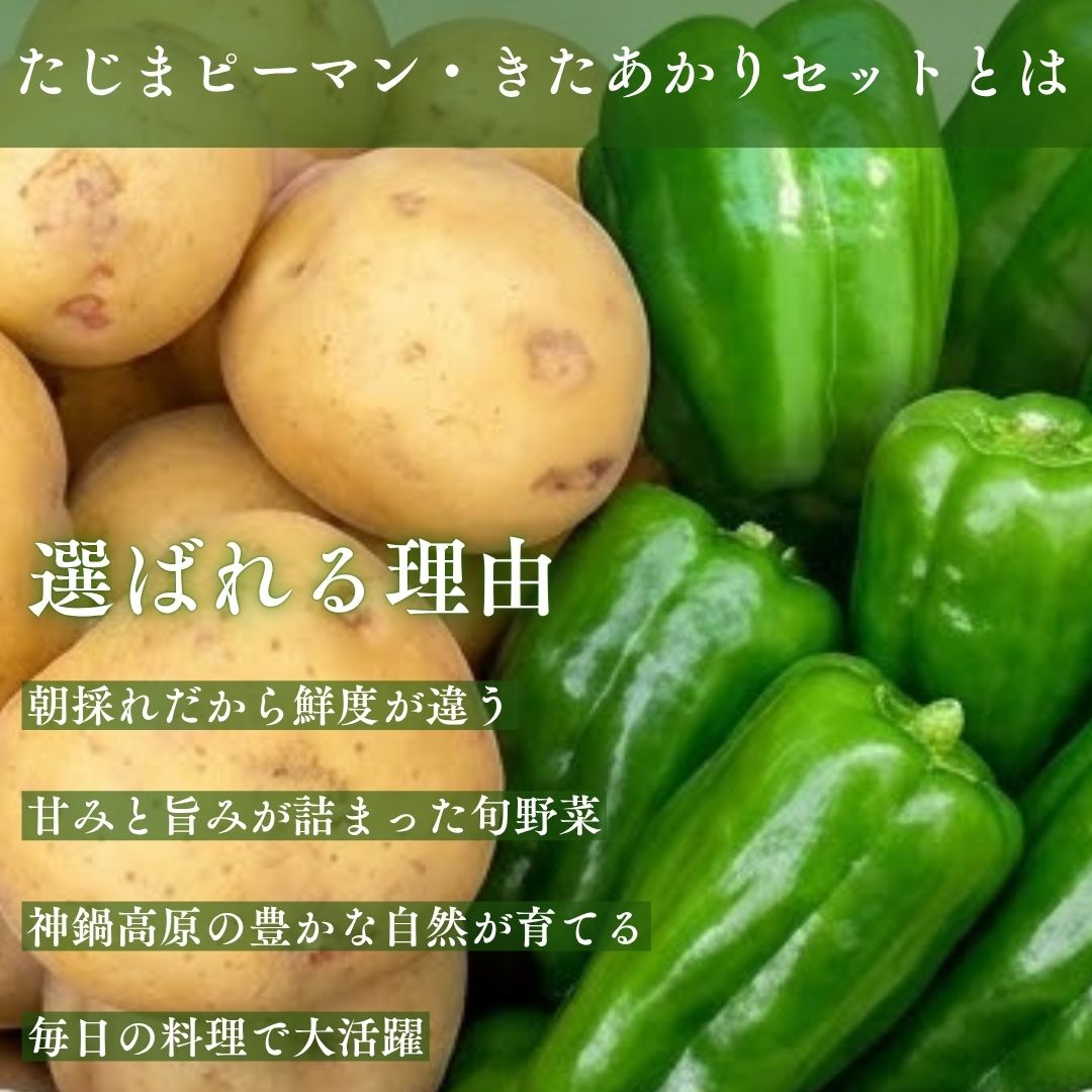 選ばれる理由
