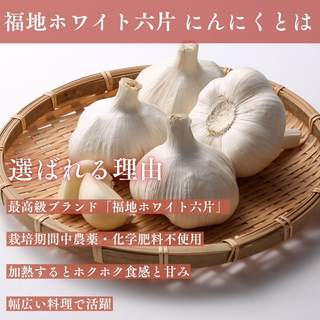 選ばれる理由