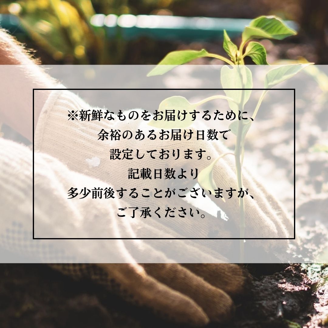 生産者の想い