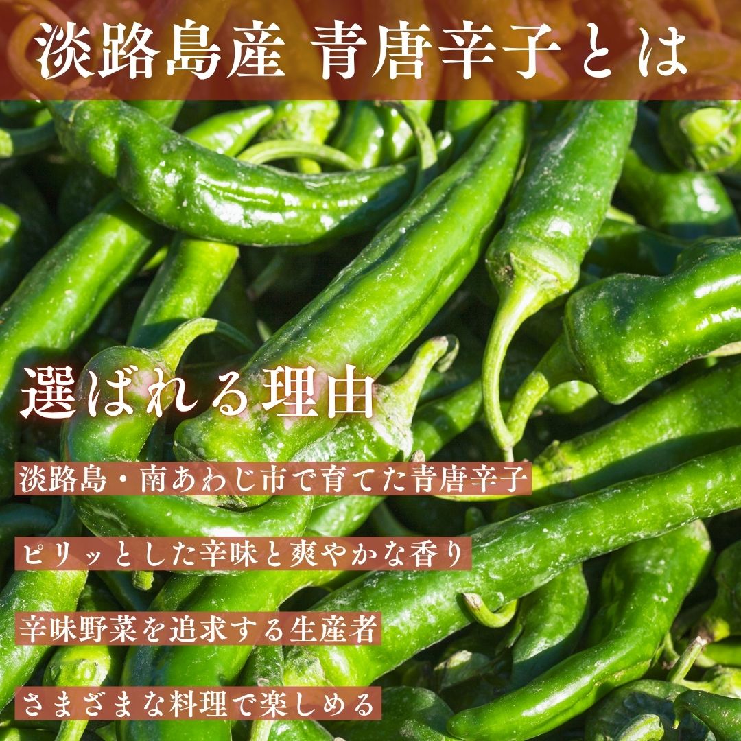 選ばれる理由