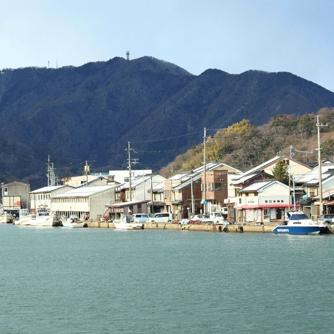 生産地の特徴